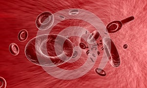 Red blood cell