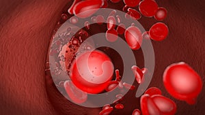 Red blood cell erythrocytes flow through the vein