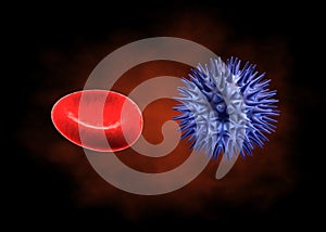 Red blood cell and germ photo