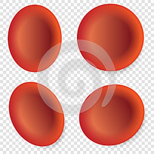 red blood cells