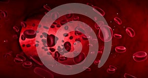 Red blood cells animation in an artery, flow inside body, human health-care