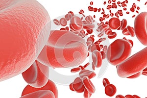Red blood cells in artery, flow inside body, concept medical human health care, 3d rendering