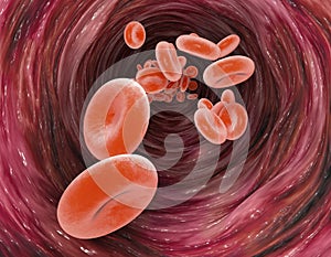 Red blood cells and blood flow through a vein, small spherical cells that contain hemoglobin