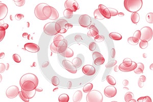 Red Blood Cells Floating