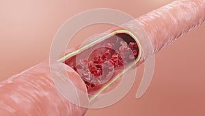 Red blood cells flow inside an artery, vein. Healthy arterial cross-section blood flow. Scientific and medical