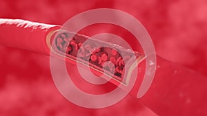 red blood cells flow inside a healthy vessel, cross section artery view.