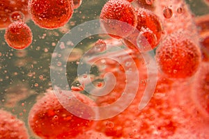 Red Blood Cells photo