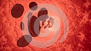 Red blood cells in human vein. 3D rendered illustration