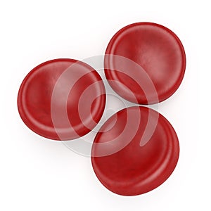 Red blood cells photo