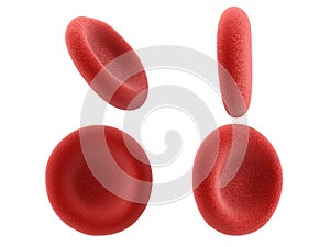 Red blood cells isolated on white