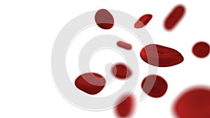 Red blood cells on isolated white background. Medical and Healthcare concept. Hemoglobin and Part of body theme. Anatomy theme. 3D