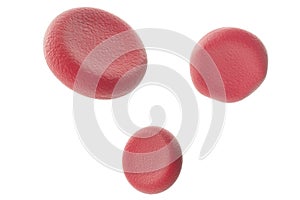 Red blood cells isolated on white backround. 3d illustration