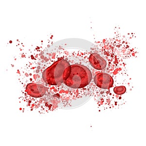 Red blood cells. Macro illustration