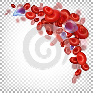 Red blood cells RBCs, erythrocytes.