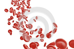 Red blood cells: responsible for oxygen carrying over, regulation pH blood, a food and protection of cages of an