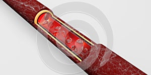 Red blood cells skin layer veins 3d illustration intravascular surgery
