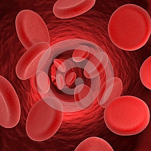 Red blood cells in a vein