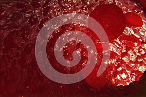 Red blood cells in vein or artery, flow inside inside a living organism, 3d illustration