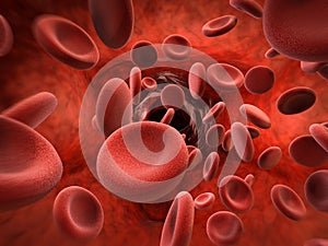 Red blood cells in vein photo