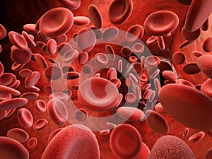 Red blood cells in vein photo