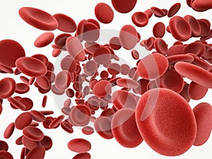 Red blood cells in vein photo