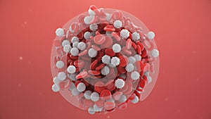 Red blood cells with white blood cells that is immune. Scientific and medical microbiological concept. Enrichment with