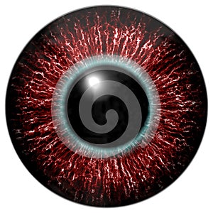 Red bloody alien or bird eye with blue circle around the pupil