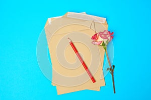 Red blooming rose and brown paper envelope on a blue background