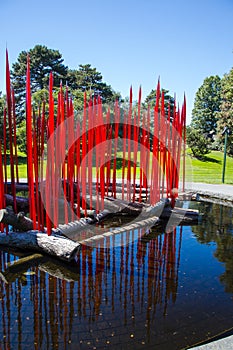 Red Blown Glass Reeds on Reflecting Pool