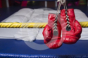 Red & Blue boxing gloves