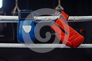 Red and blue boxing gloves on a ropes, nobody