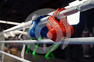 Red and blue boxing gloves on a ropes, nobody