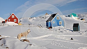 A modrý kabiny a pes v zimě Grónsko 