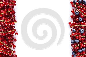Red and blue food on a white. Ripe blueberries and red currants on a white background. Mixed berries at border of image with copy