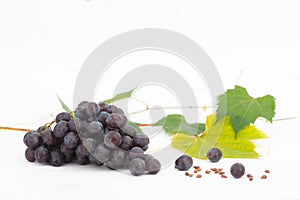 Red or blue grapes with leaves isolated on white background