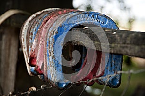 Red and blue horse shoes hanging off a fence post