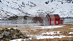 Red and Blue House on the Lofoten in Norway in winter