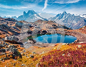 Red blueberry leaves cover the mountain slopes. Sunny autumn view of Cheserys lake Lac De Cheserys, Chamonix location. Nice morn