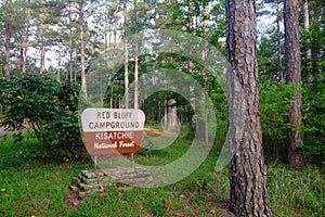 Red Bluff Campground Sign Kisatchie National Forest Louisiana 2
