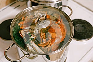 Red boiled crabs in a saucepan. Blue crabs are cooked in a saucepan with a glass lid.