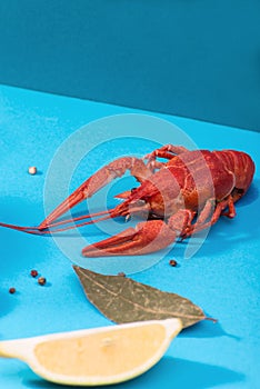 Red boiled Crawfish and beer glasses on a blue background. Trendy bi-colored minimalist still life