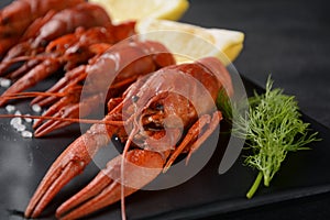 Red boiled crawfishes on table in rustic style.