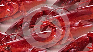 Red boiled crayfish lying on the table