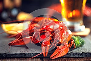 Red boiled crayfish on stone slate. Crawfish closeup