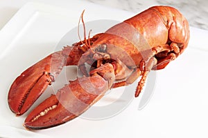 Red boiled lobster