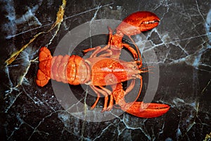 Red boiled lobster seafood on black plate background