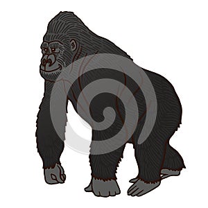 Red book mountain gorilla cartoon vector character