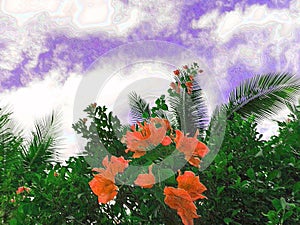 Red bougainvillea flowers against the background of a clear cloudy sky. Art effect of blur posterization shading photo