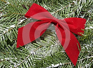 Red bow on snow covered evergreen Christmas tree