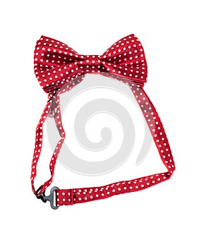 Red bow tie. white background.